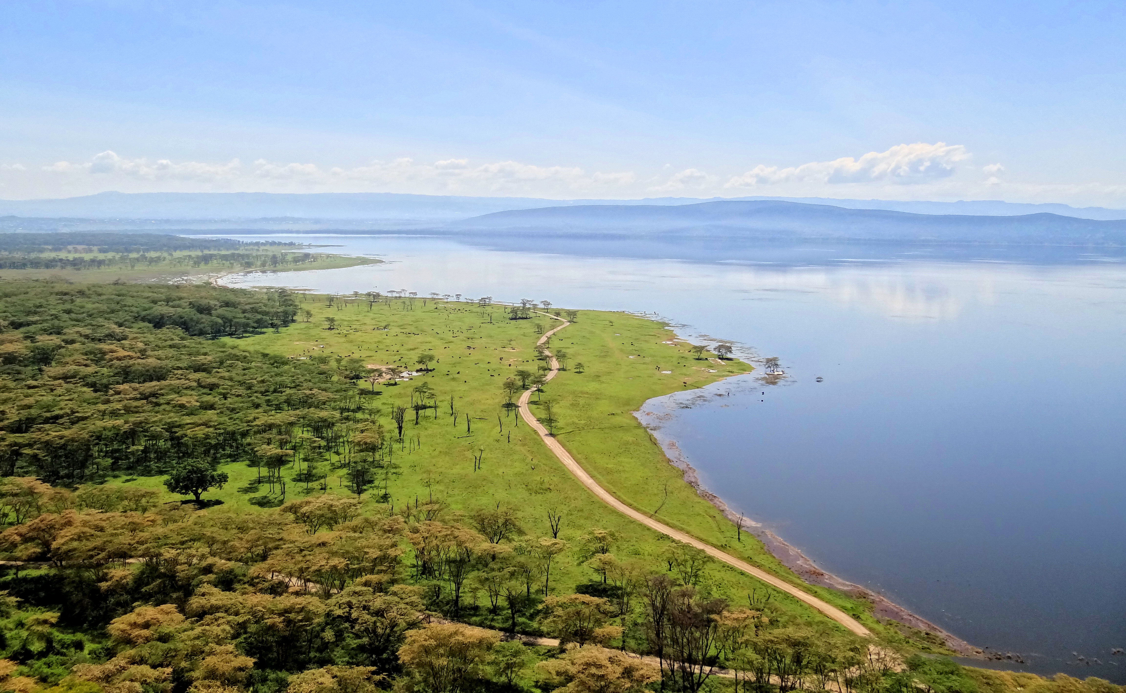 Lake Nakuru safari landscape for East Africa travel planning